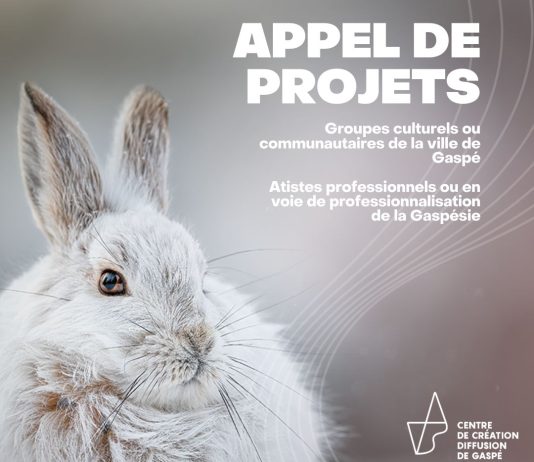 Appels de projets pour le milieu culturel local