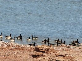 LE PRINTEMPS EST DE RETOUR