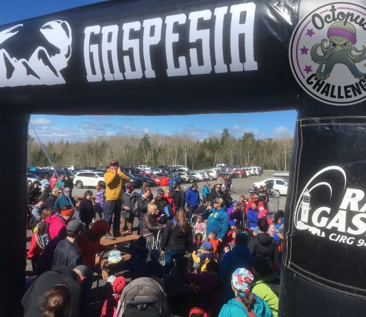 L’Octopus Challenge 2017 est un succès