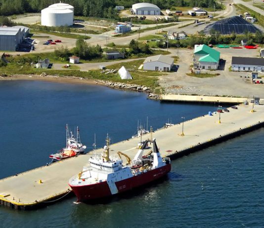 Les ports du Bas-Saint-Laurent et de la Gaspésie certifiés par l’Alliance verte