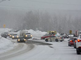 Diminution du nombre de collisions mortelles au Québec