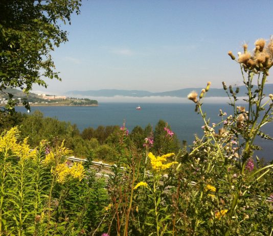 Le CREGIM veut connaître votre appréciation et vos attentes