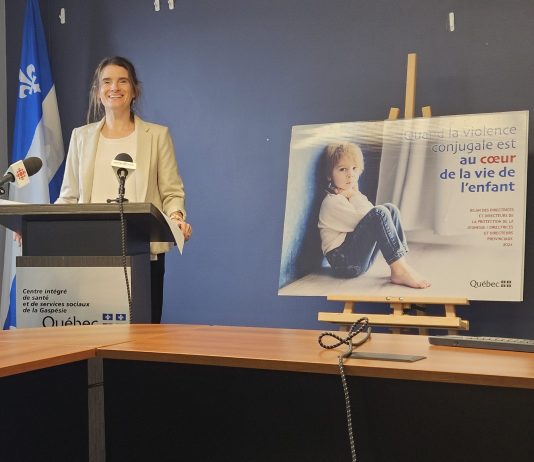 21e bilan annuel de la DPJ pour la région