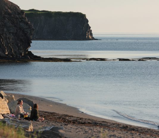 Un cours gratuit sur la préservation des écosystèmes marins et côtiers