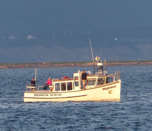 Croisières Gaspé sur mer fait relâche