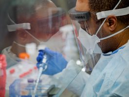 1 nouveau décès de la COVID-19 en Gaspésie-Îles-de-la-Madeleine.