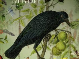 Les femmes de La Maison aux sortilèges