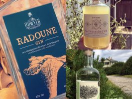 Le gin Radoune, le meilleur au Québec
