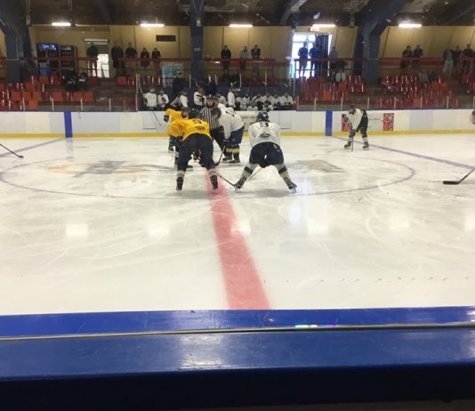 Une brigade de Gaspé au sein des Albatros Midget AAA