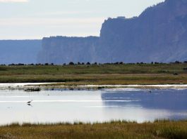 Changement de direction au Conseil de l’eau du Nord de la Gaspésie