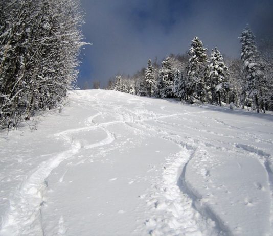 Conclusions de la CNESST suite à l’accident à Béchervaise
