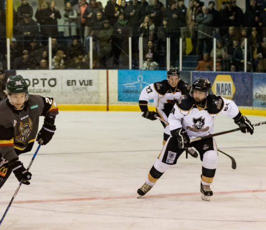 Ligue hockey senior: Affrontement Corsaires/Vikings samedi
