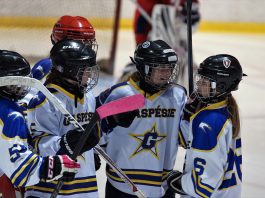 Une expérience à renouveler pour de jeunes hockeyeuses de la Gaspésie