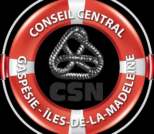 Priorités du Conseil central CSN-GÎM