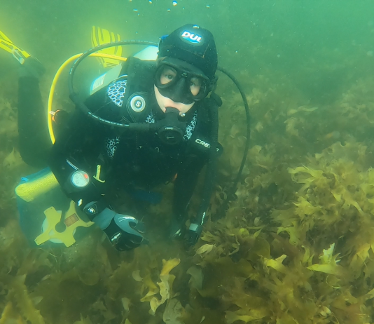 À la recherche d’épaves sous-marines