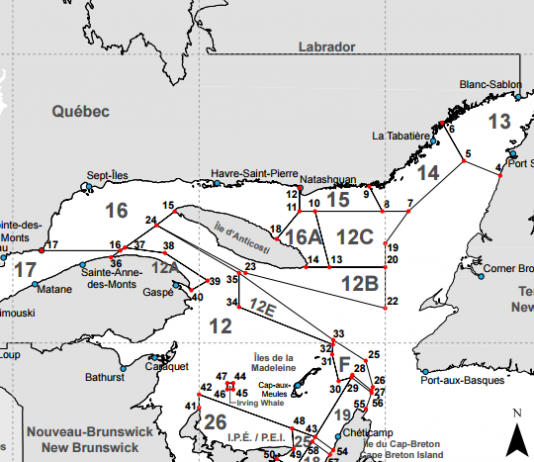 Retour « timide » du crabe des neiges dans la zone 12A