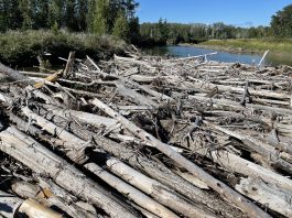 Prévenir un autre embâcle sur la rivière St-Jean à Gaspé