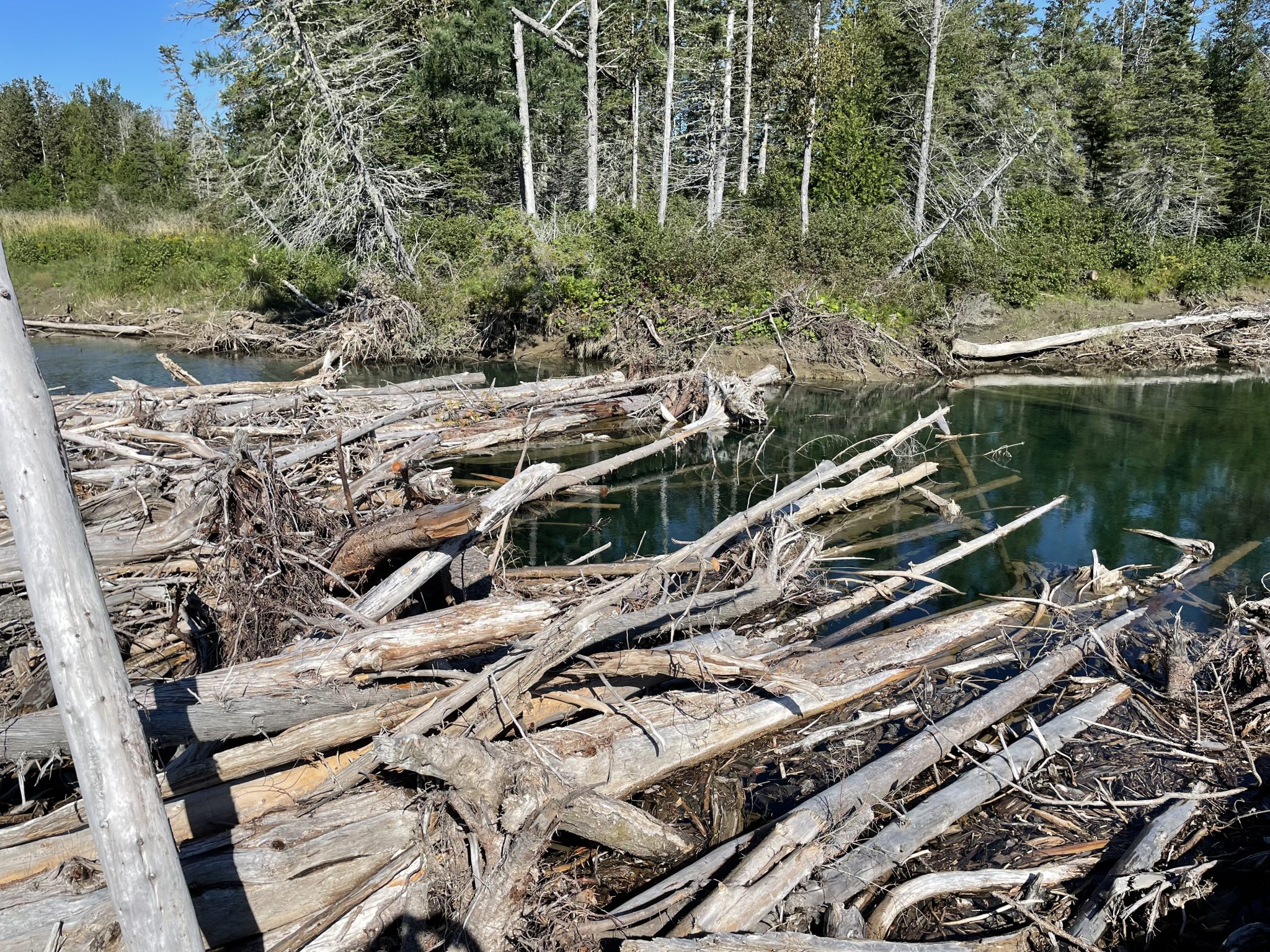 Prévenir un autre embâcle sur la rivière StJean à Gaspé RadioGaspésie