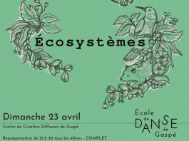 Écosystèmes : le spectacle de fin d’année de l’École de danse de Gaspé