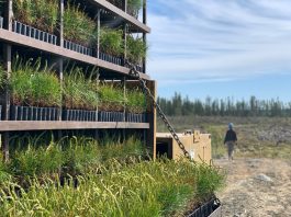 « Femmes des bois », une incursion dans l’univers sylvicole