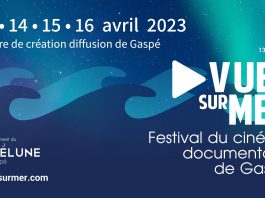Pleins feux sur le Festival Vues sur mer