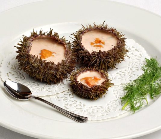 Notre St-Laurent dans votre assiette