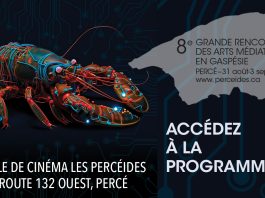 C’est parti pour la 8e Grande rencontre des arts médiatiques en Gaspésie