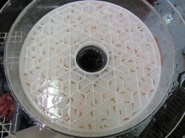 L’écloserie de homards de Grande-Rivière reçoit un appui financier