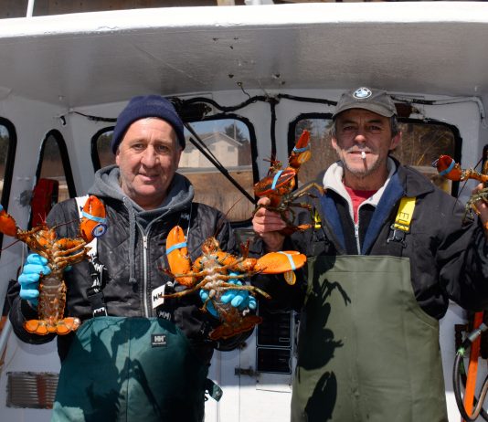 La relève demeure un défi pour les pêches