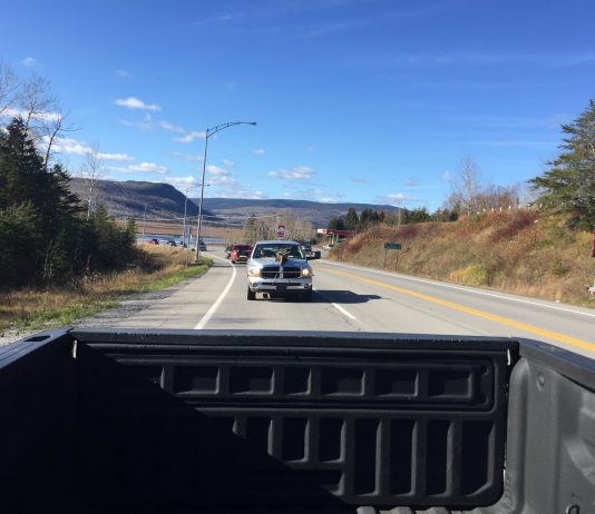 Résultats dans la moyenne pour l’orignal et désastreux pour le chevreuil