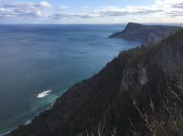 Forillon: des laissez-passer jusqu’à la sixième génération