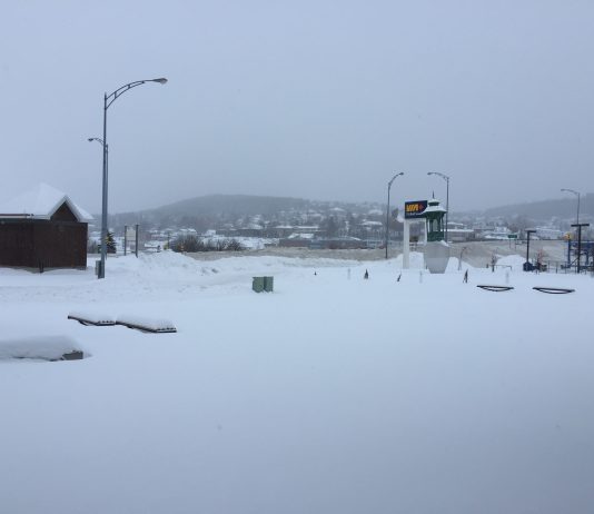 Bond de près de 400 personnes à Gaspé en 2019