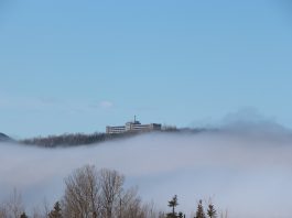 LA TÊTE AU DESSUS DES NUAGES