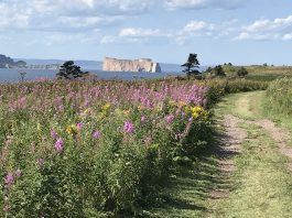 Moins de touristes sur l’île Bonaventure