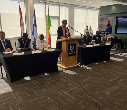 Le cégep reçoit 25 M$ pour aider des jeunes au Sénégal