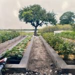 2,5 M$ pour envoyer 200 étudiants en stage au Sénégal