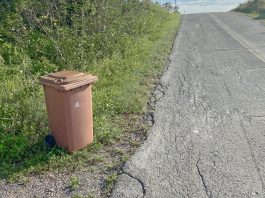 Des trucs pour mieux composter l’été