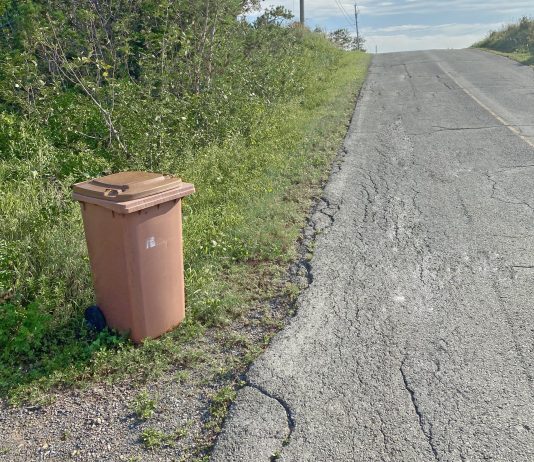 Des trucs pour mieux composter l’été