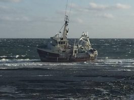 Échouage du crevettier : La Garde côtière pointée du doigt