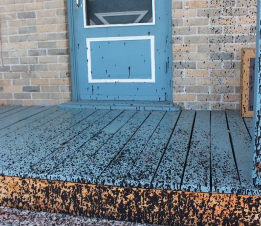 Jusqu’où sont prêts à aller les groupes environnementalistes ?