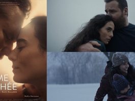 Antoine Bertrand dans La femme cachée et STAT