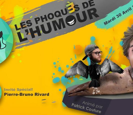 Les phoqués de l’humour 2