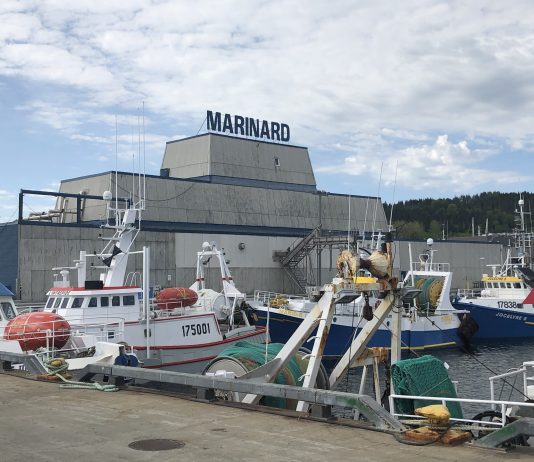 Pêcheries Marinard veut transformer du homard