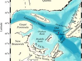 Une plainte en justice concernant le permis de Old Harry