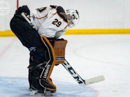 Hockey senior: Une finale Forillon-Trois-Pistoles