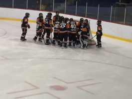 Hockey BB: Début de saison pour les Prédateurs Forillon