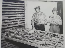 LA MÉMOIRE DES PÊCHEURS EN PHOTOS À RIVIÈRE-AU-RENARD