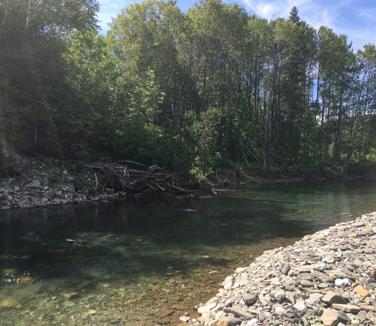 Plus d’argent pour la protection de l’eau
