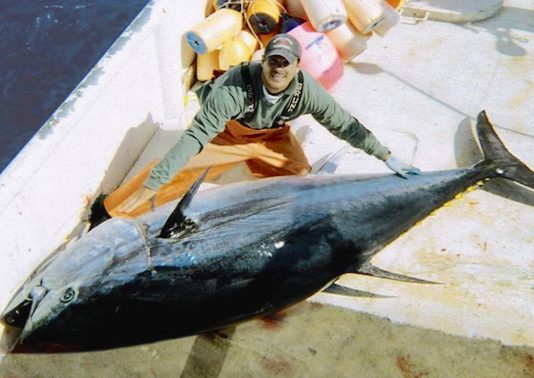 Les stocks de thon rouge de l’Atlantique en reconstruction