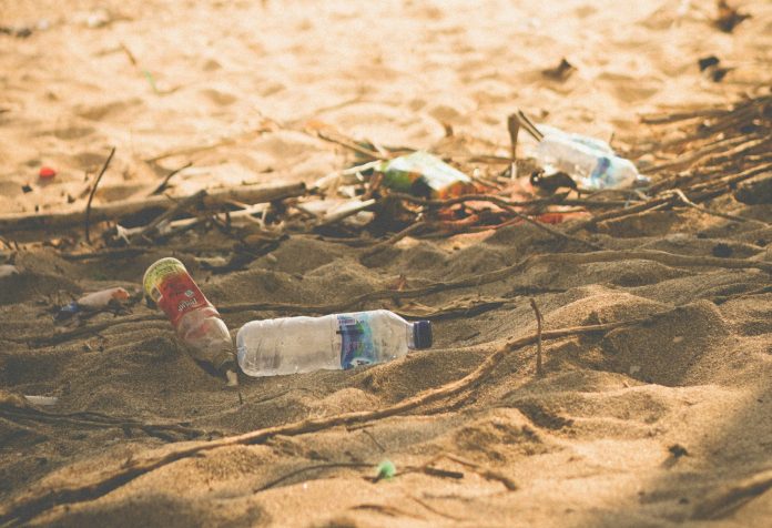 ananda-putra-fiksis-rrWJZKAMY80-unsplash